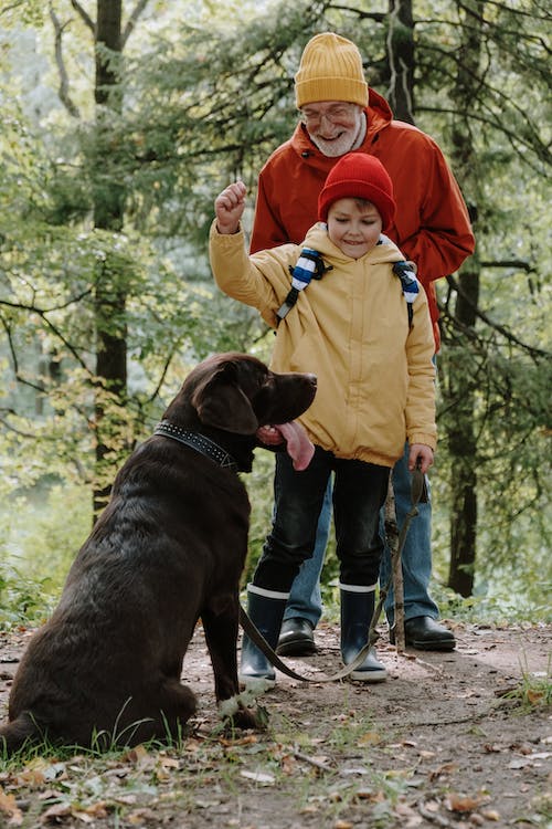 2023’s Top Dog Breeds